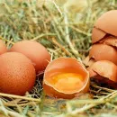 На Сахалине наклюнулся дефицит яиц