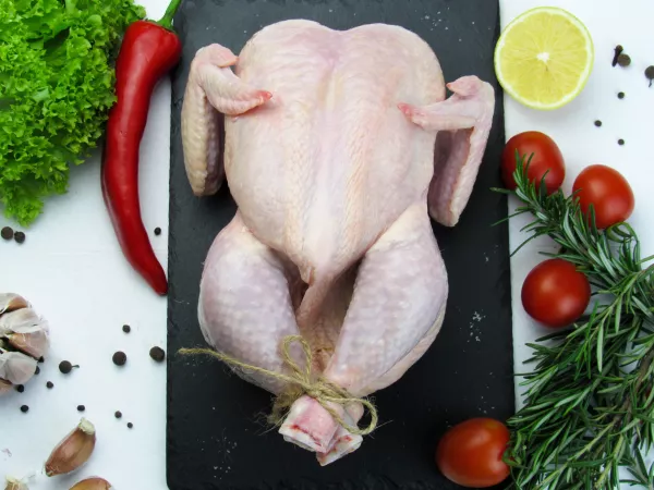 Остатки антибиотиков и превышение массовой доли воды выявлены в мясе цыплят бройлеров