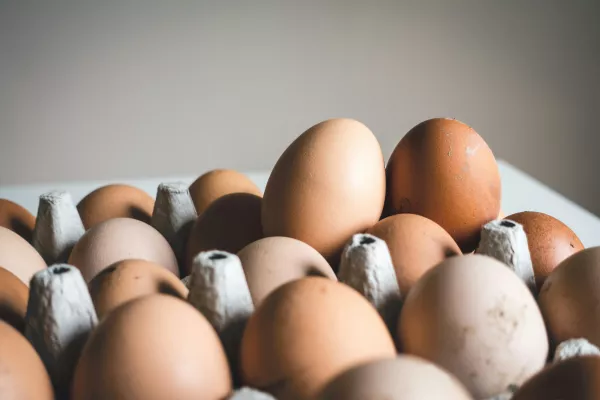 Из-за вспышки птичьего гриппа яйца на Сахалин поставляют семь регионов