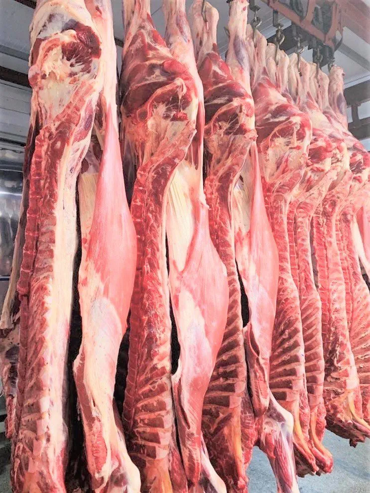 фотография продукта мясо на кости в п/т, четвертях